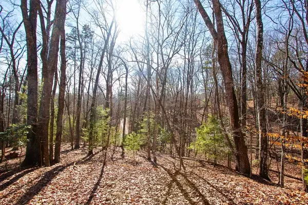TBD W Hills Drive, Murphy, NC 28906