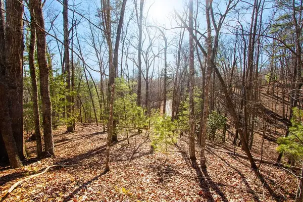 TBD W Hills Drive, Murphy, NC 28906