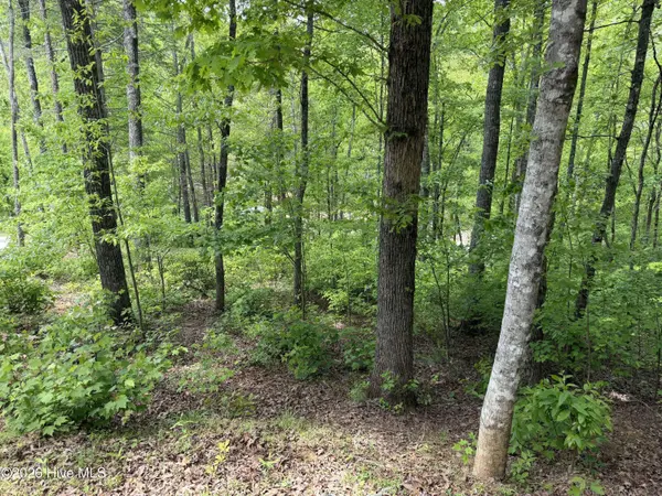Multi Lots Black Fox DR, Murphy, NC 28906