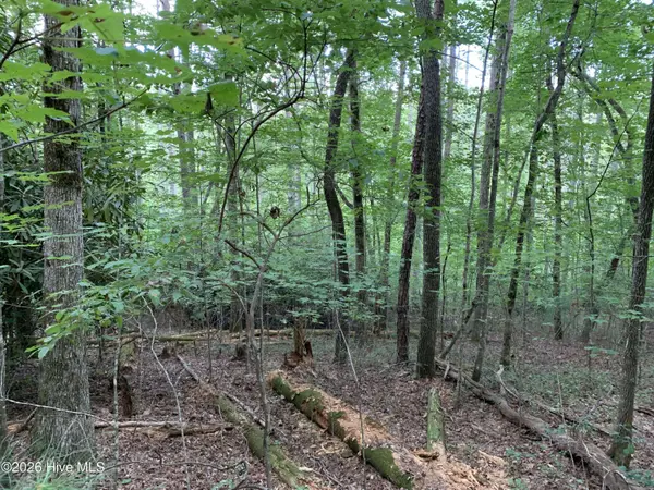 2.87 Ac Hedden RD, Murphy, NC 28906