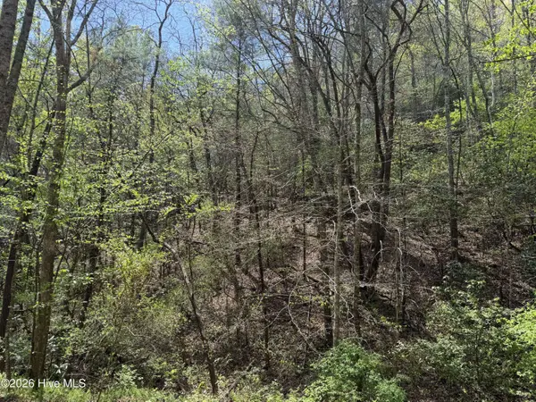 17.96 Lower Vengeance Creek RD, Marble, NC 28905