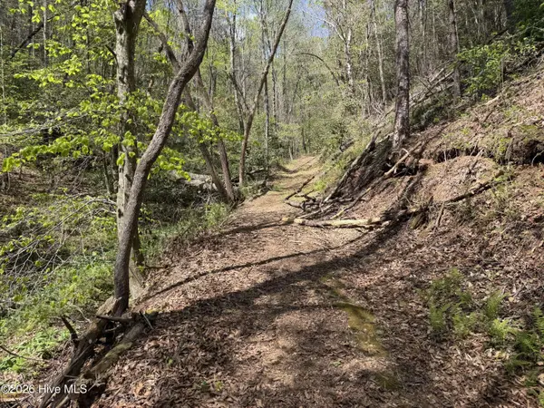 17.96 Lower Vengeance Creek RD, Marble, NC 28905