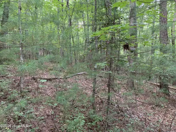2.87 Ac Hedden RD, Murphy, NC 28906