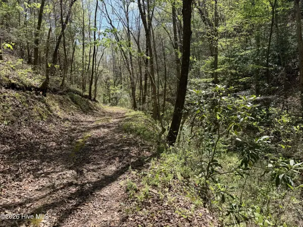 17.96 Lower Vengeance Creek RD, Marble, NC 28905