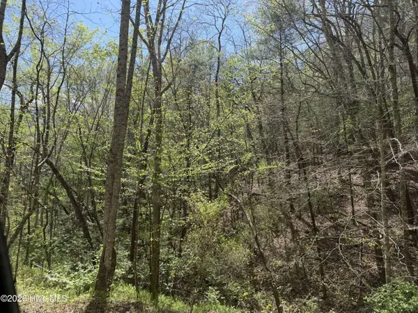 17.96 Lower Vengeance Creek RD, Marble, NC 28905