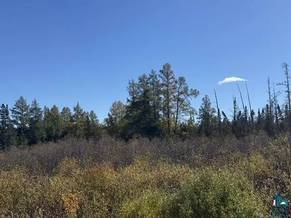 TBD Nett Lake Rd, Orr, MN 55771