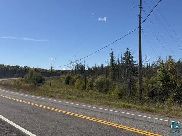TBD Nett Lake Rd, Orr, MN 55771