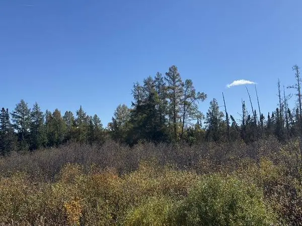 TBD Nett Lake Rd, Orr, MN 55771