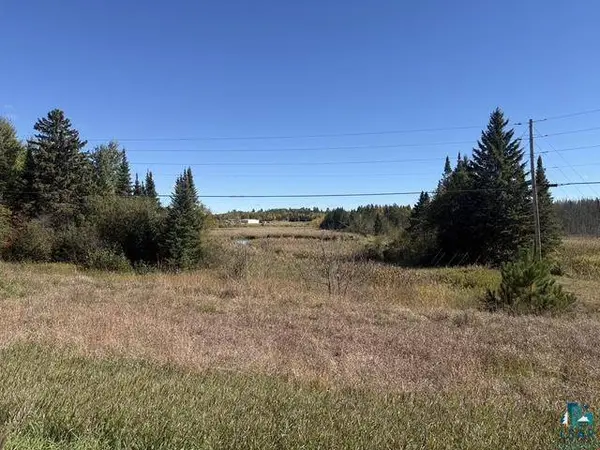 TBD Nett Lake Rd, Orr, MN 55771