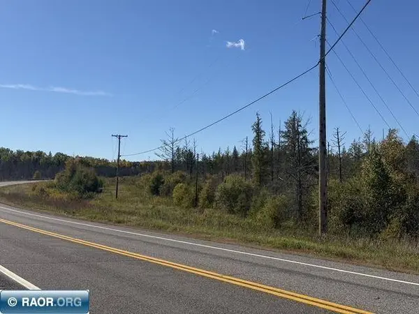 TBD Nett Lake Rd, Orr, MN 55771