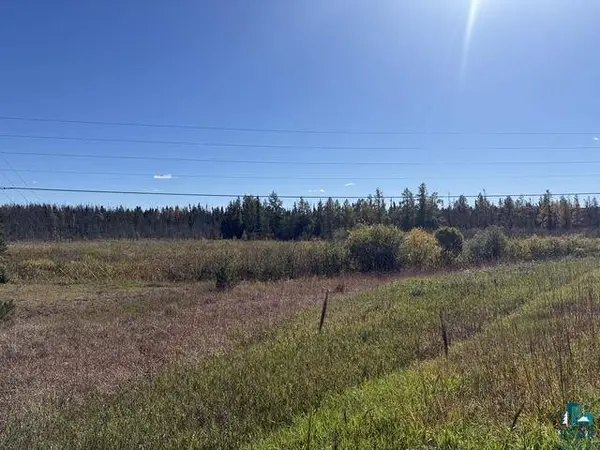 TBD Nett Lake Rd, Orr, MN 55771