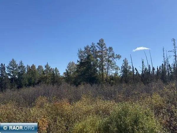 TBD Nett Lake Rd, Orr, MN 55771