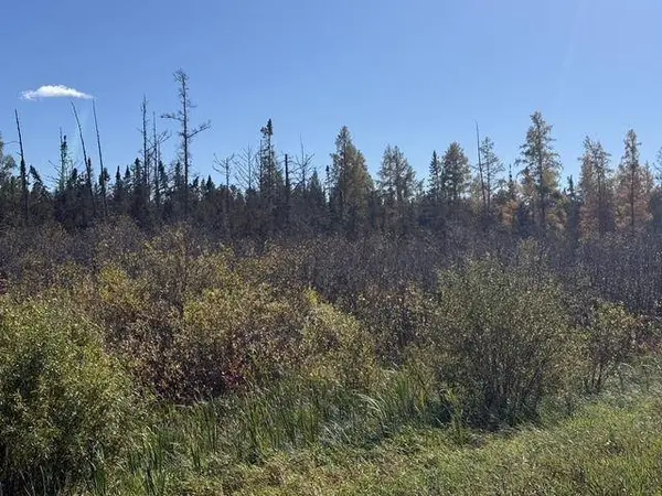 TBD Nett Lake Rd, Orr, MN 55771