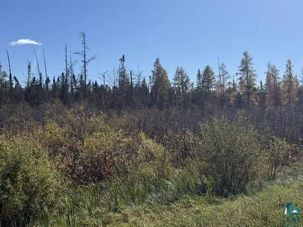 TBD Nett Lake Rd, Orr, MN 55771