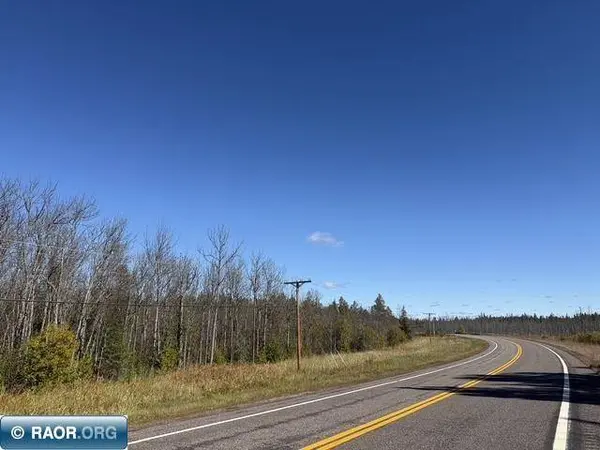TBD Nett Lake Rd