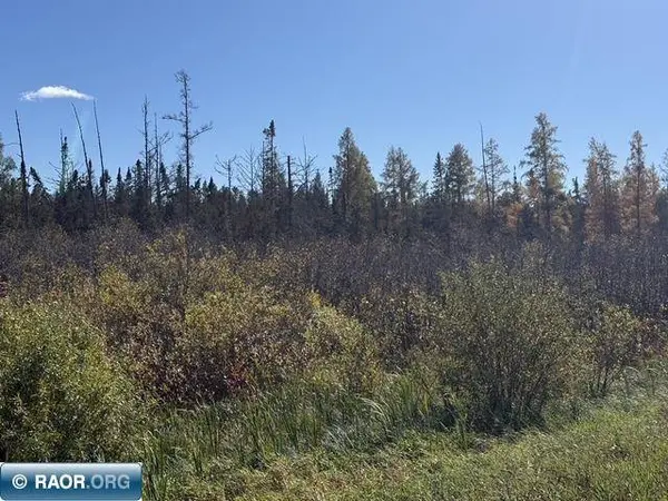 TBD Nett Lake Rd, Orr, MN 55771