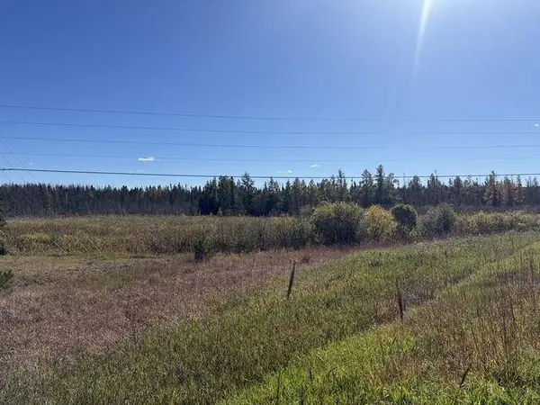 TBD Nett Lake Rd, Orr, MN 55771