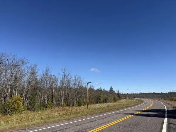 TBD Nett Lake Rd