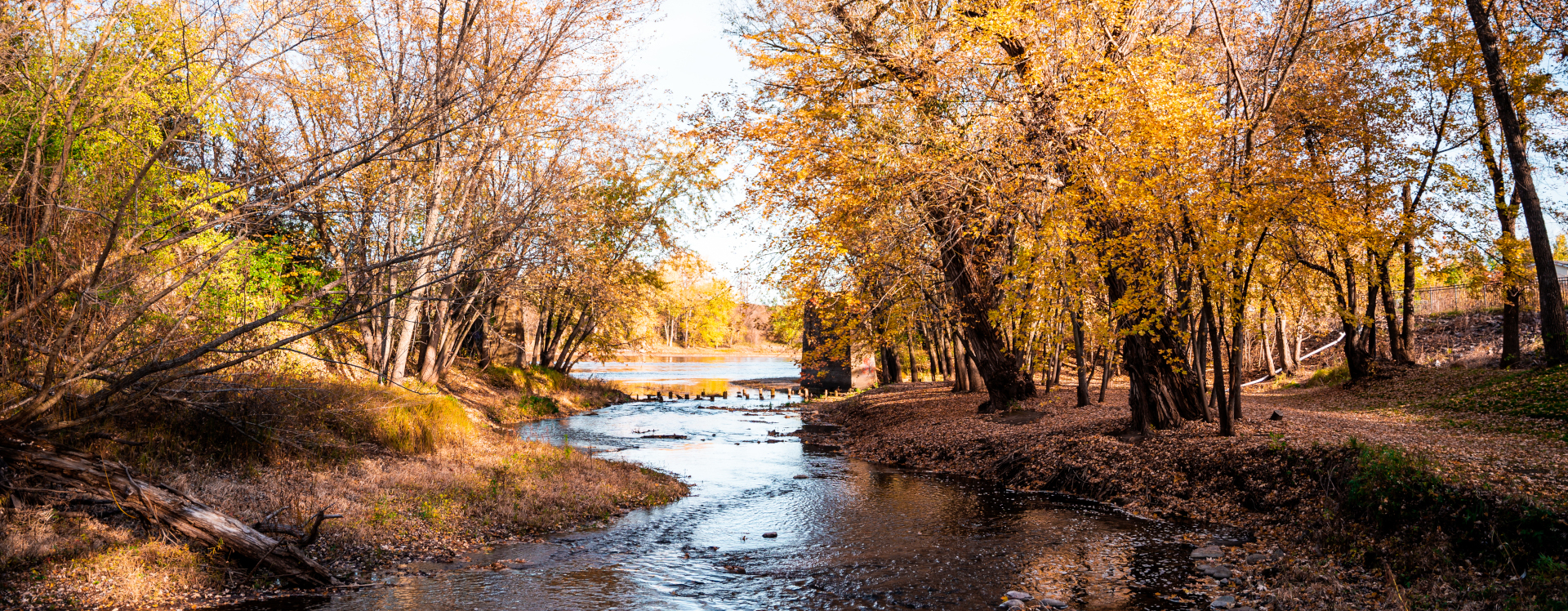 Clearwater-Minnesota-Wright-County-Northern-Minnesota-DSC00309