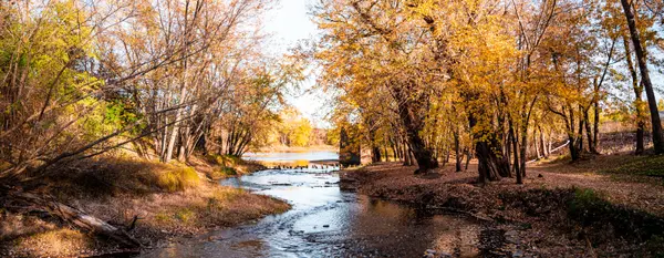 Clearwater-Minnesota-Wright-County-Northern-Minnesota-DSC00309