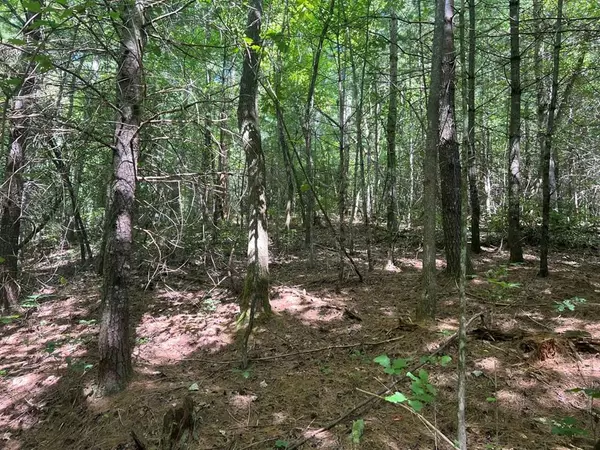 Lot 6&7 Donley Road, Murphy, NC 28906