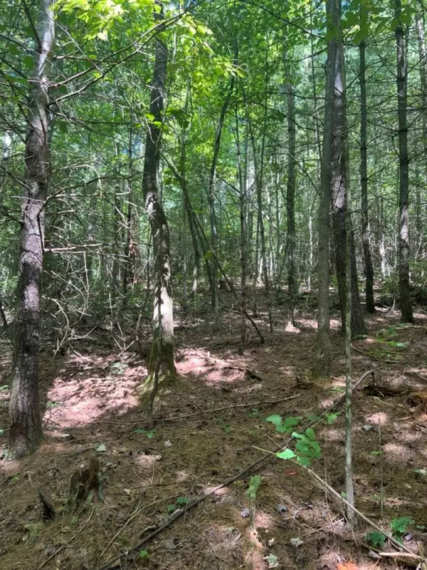 Lot 6&7 Donley Road, Murphy, NC 28906