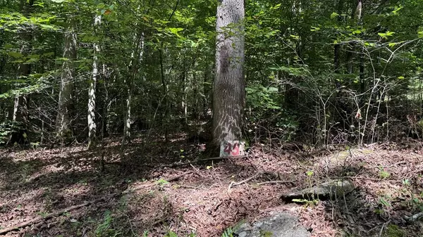 Lot 45 Granite Drive, Hayesville, NC 28904
