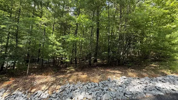 Lot 45 Granite Drive, Hayesville, NC 28904