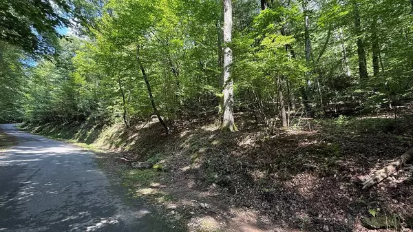 Lot 45 Granite Drive, Hayesville, NC 28904