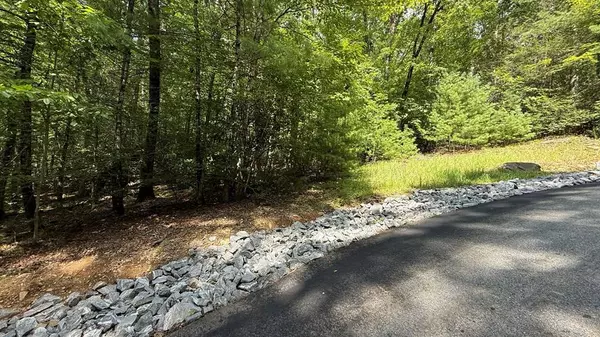 Lot 45 Granite Drive, Hayesville, NC 28904