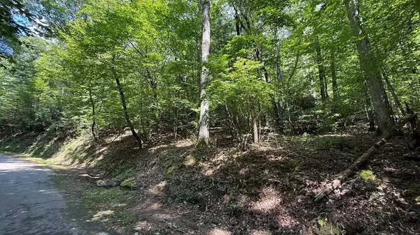 Lot 45 Granite Drive, Hayesville, NC 28904