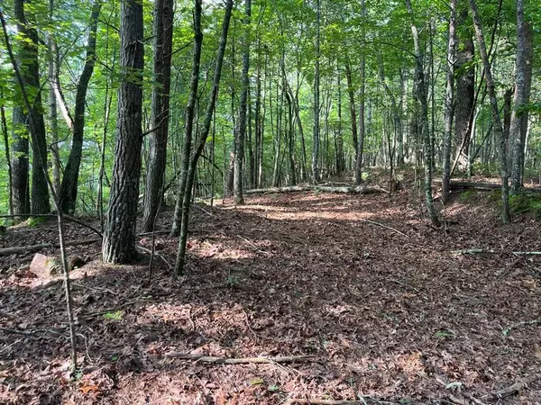 TBD Robin Road, Murphy, NC 28906