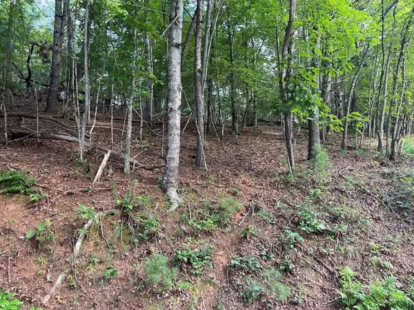 TBD Robin Road, Murphy, NC 28906