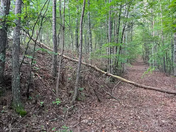 TBD Robin Road, Murphy, NC 28906