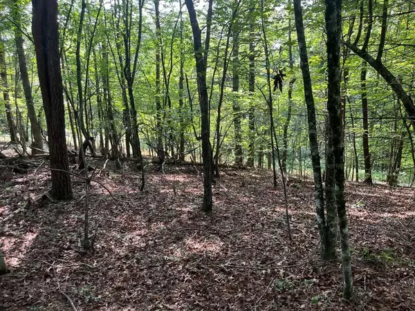 TBD Robin Road, Murphy, NC 28906