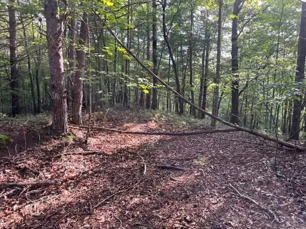 TBD Robin Road, Murphy, NC 28906