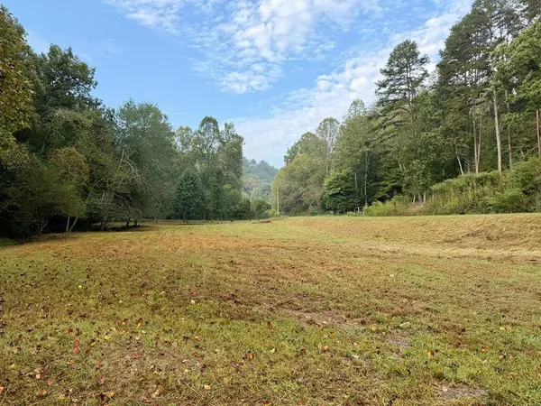 722 Greasy Creek Rd., Brasstown, NC 28902