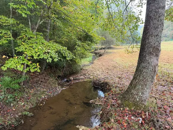 722 Greasy Creek Rd., Brasstown, NC 28902