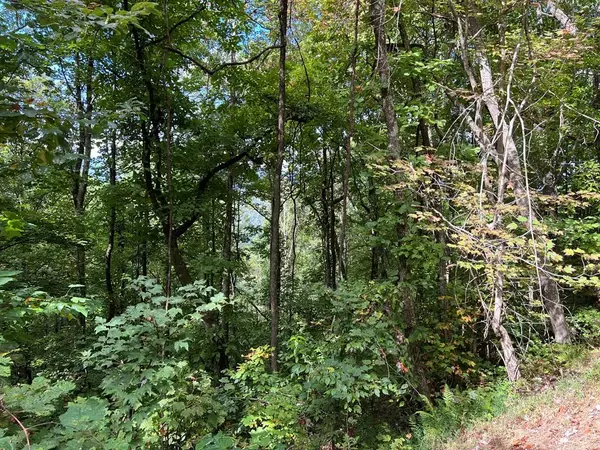 72 Wilderness Creek Way, Murphy, NC 28906