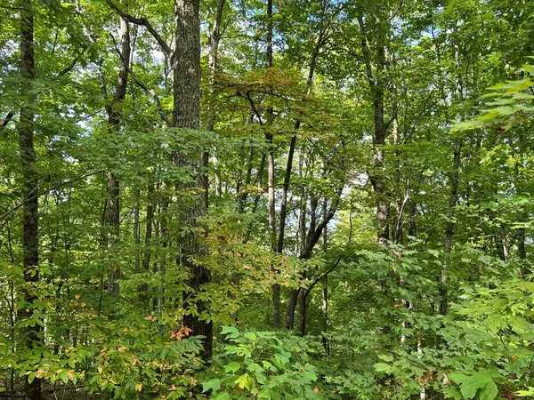 72 Wilderness Creek Way, Murphy, NC 28906