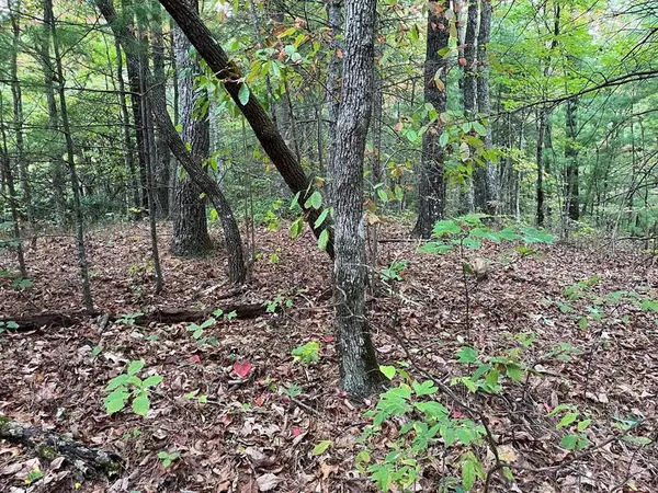 TBD Burrell Mountain Road, Murphy, NC 28906