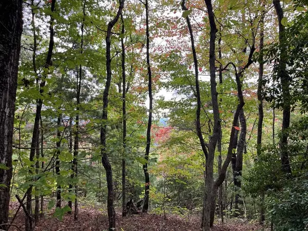 TBD Burrell Mountain Road, Murphy, NC 28906