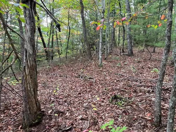 TBD Burrell Mountain Road, Murphy, NC 28906