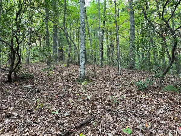 TBD Burrell Mountain Road, Murphy, NC 28906