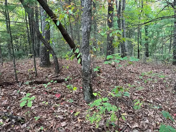 TBD Burrell Mountain Road, Murphy, NC 28906