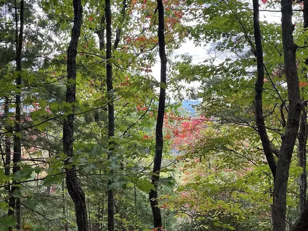 TBD Burrell Mountain Road, Murphy, NC 28906