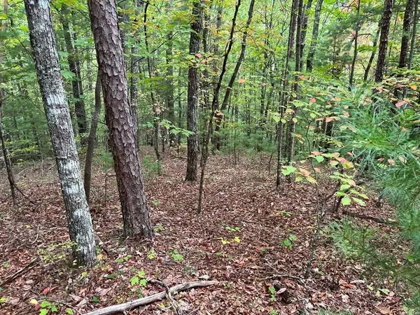 TBD Burrell Mountain Road, Murphy, NC 28906