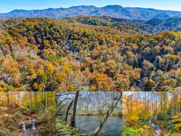 00 Jasmine Drive, Marble, NC 28905