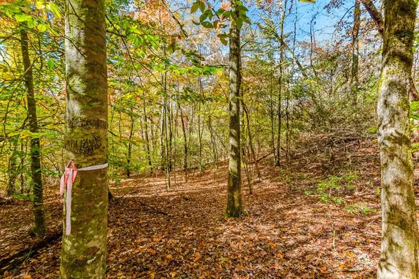 00 Jasmine Drive, Marble, NC 28905