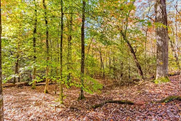 00 Jasmine Drive, Marble, NC 28905